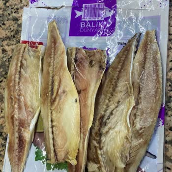 Balık Dünyası Çürümüş Uskumru Satışı