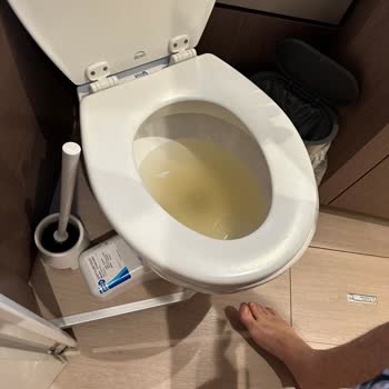 Ediba Sailing Firmasıyla Yaşadığımız Kötü Deneyim