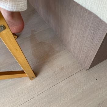 Ediba Sailing Firmasıyla Yaşadığımız Kötü Deneyim