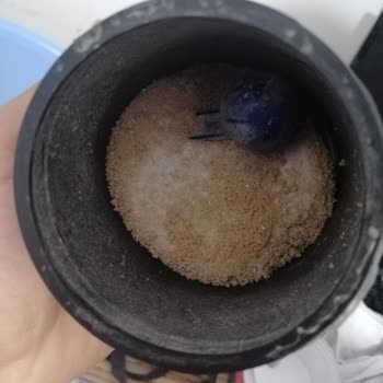 Proteinocean Ürünlerde Bozulma Ve Topaklanma!