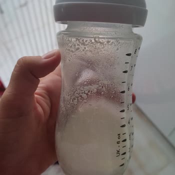 Bebelac Gold 1 Numara