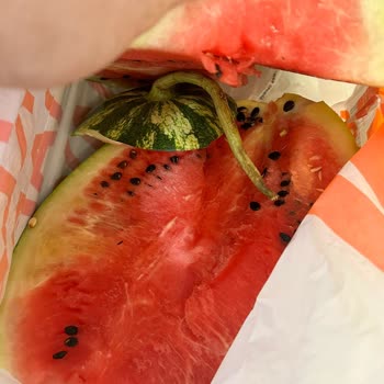 Migros Un Bozuk Karpuzu Değiştirmemesi