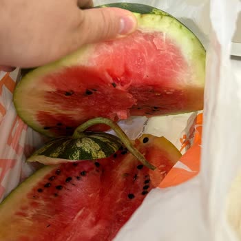 Migros Un Bozuk Karpuzu Değiştirmemesi
