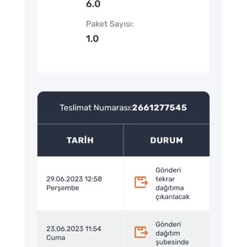 Sürat Kargo Ürün Teslimat Problemi