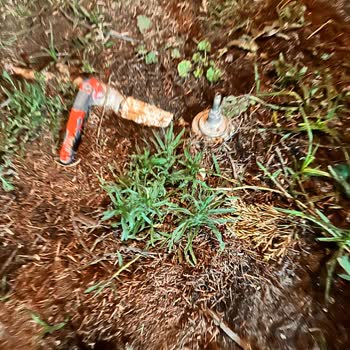 Büyük Anadolu Didim Resort Hotel Pis Ve İlgisiz