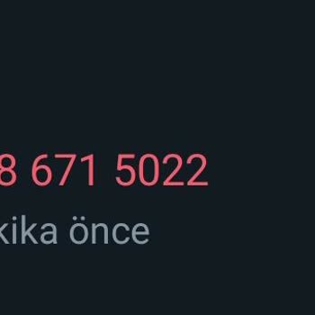 WhatsApp Yabancı Numaralardan Sesli Arama