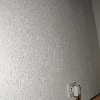 Raid Sinek Kovucu, Sinekleri Odaya Çekiyor