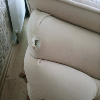 Taşpınar Alışveriş Merkezleri Tuzluçayır Taşpınar Desemo Marka Koltuk