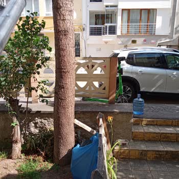 Martı Yanlış Park Edilmesi