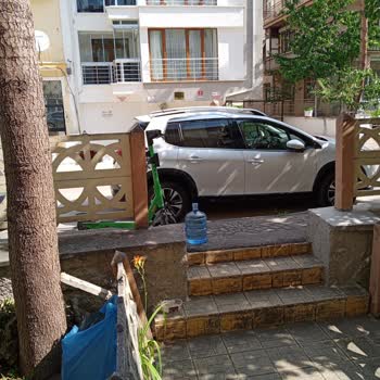 Martı Yanlış Park Edilmesi