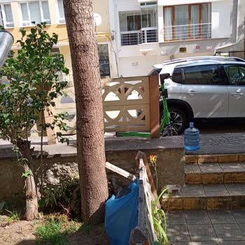 Martı Yanlış Park Edilmesi