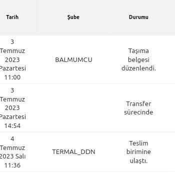 Yurtiçi Kargo Yalova Termal_DDN Kargom Kaç Gündür Yola Çıkmıyor