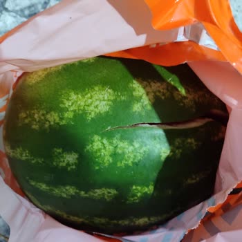 Migros Hemen Patlak Karpuz