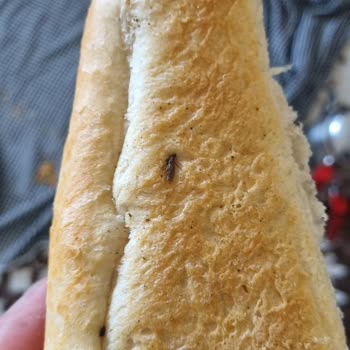 Paşadayı Fırıncılık (Kayseri) Ekmekten Böcek Çıktı