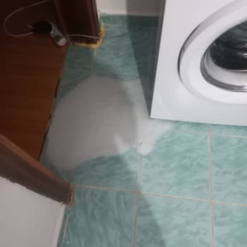 Altus Çamaşır Makinesi Sorunlu