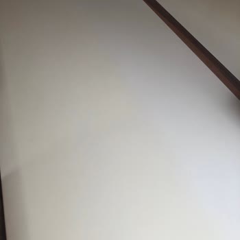 Evonna Masa Yüzeyinde Sararma