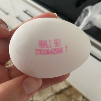 BİM Bayat Yumurta Her Defasında