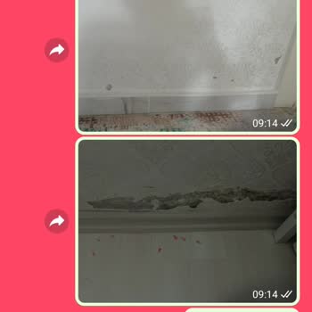 Türkiye Sigorta Şirketi Müşteri Memnuniyetsizliği