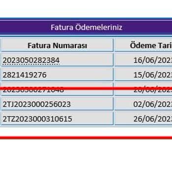 1 Ayda 2 Kez Ödeme AYESAŞ