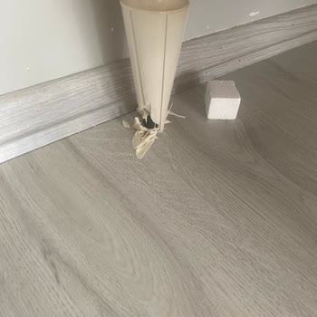Bellona Konsol Ayağı Sorunu