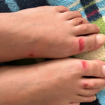 Benca Tur Tatil Değil Eziyet