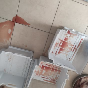 Arçelik Almak Mı Asla