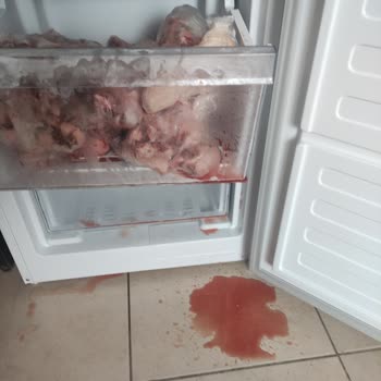 Arçelik Almak Mı Asla