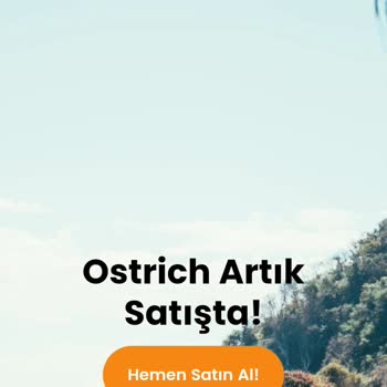 Yazdekor.com Beni Yanılttı