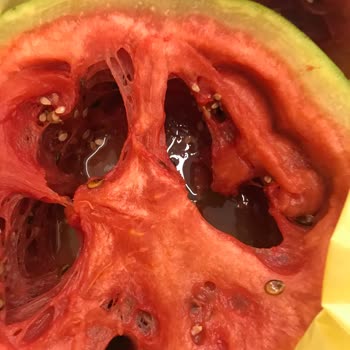 Şok Marketler Çürük Ürün İade Alınmıyor