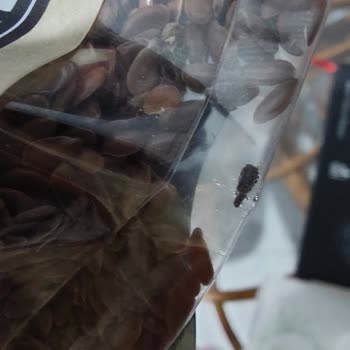 Yayla Bakliyat Yayla Keten Tohumu Böcekli Getir Firması Da Bunu Satıyor...