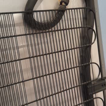 Arçelik Dondurucu Aldığımıza Pişman Olduk!