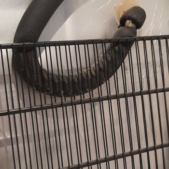 Arçelik Dondurucu Aldığımıza Pişman Olduk!