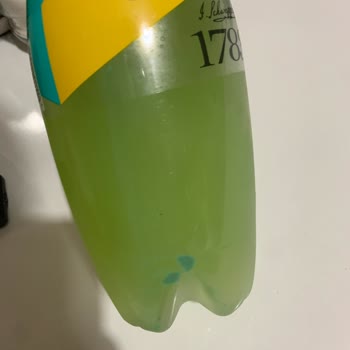 Schweppes İçerken Dikkat Etmek Lazım