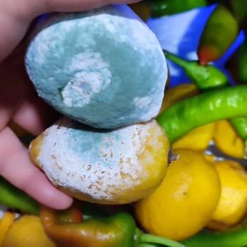 Arçelik 583630 Eı Multimode Buzdolabı Su Akıtıyor Sebzelerim Çürüdü