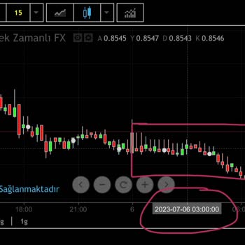İnteraktif Yatırım İşlemlerime Müdahale Edip Beni Zarara Soktu!