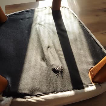 Körfez Mobilya (Kocaeli) Kartepe Körfez Mobilya