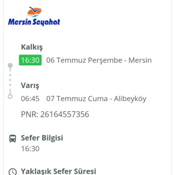 Mersin Seyahat Yolcuları İstenmedik Yerde Bıraktı, Hakarete Uğradılar