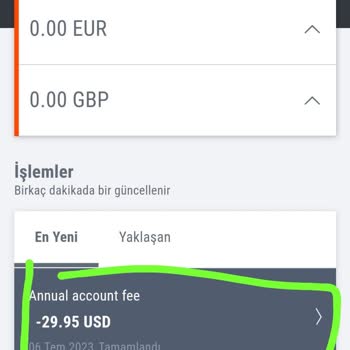 Payoneer Yıllık Aidat Kesintisi