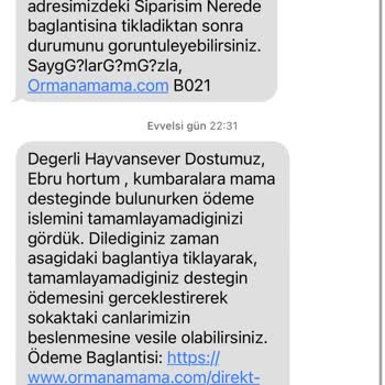 Ormana Mama Ödeme Alındığı Halde Siparişimin Onaylanmaması