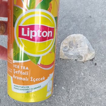 Lipton İce Tea İçerisindeki Jelatin Parçası