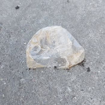 Lipton İce Tea İçerisindeki Jelatin Parçası