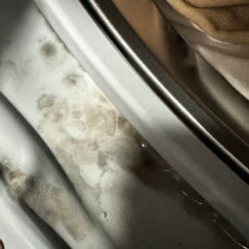 Bosch Çamaşır Makinesi Sorunu