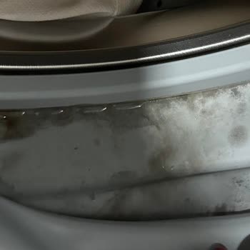 Bosch Çamaşır Makinesi Sorunu