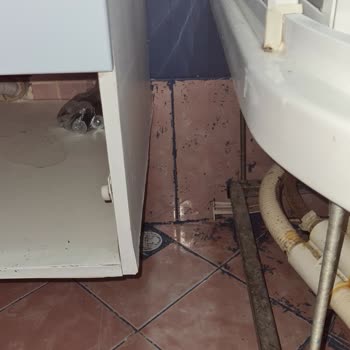 Dyo Hobi Lüks İle Fayans Ve Mermer Boyama