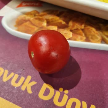 İstiklal Caddesi Tavuk Dünyası Çalışanlarının Davranışları