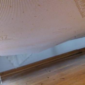 Bellona Loretta Koltuk TK. Şikayeti İlgisizlik Ve Maalesef Çözümsüzlük