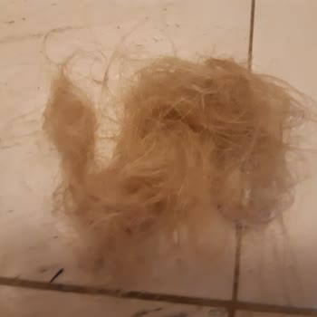 Mixup Şampuan Saç Dökmesi
