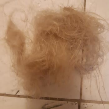 Mixup Şampuan Saç Dökmesi