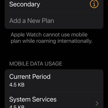 Turkcell Apple Watch, Roaming Yurt Dışında Kullanılması