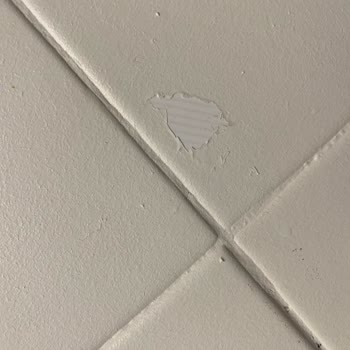 Dyo Boyanın Verdiği Mağduriyet